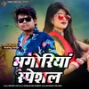 About Bhagoriya Specal Song